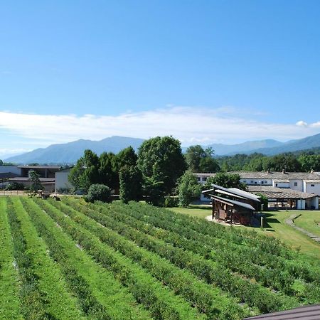 Agriturismo Il Frutto Permesso Bibiana 외부 사진