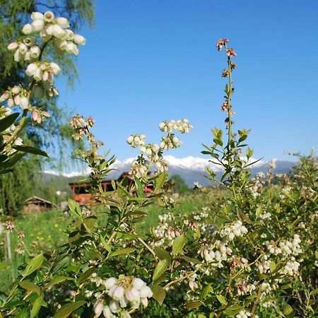 Agriturismo Il Frutto Permesso Bibiana 외부 사진