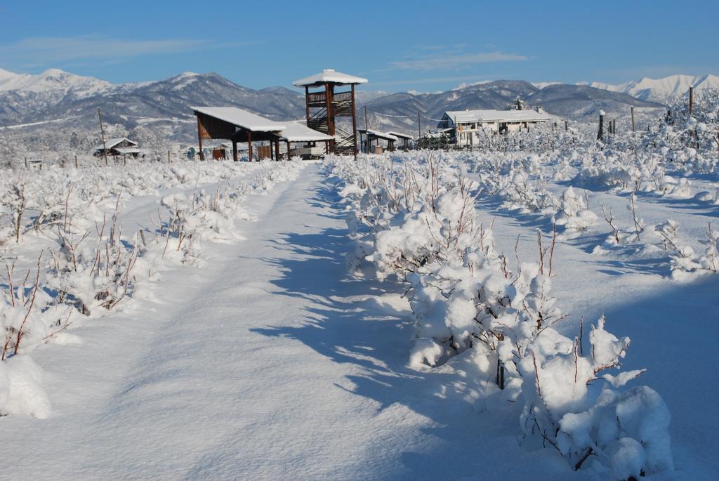 Agriturismo Il Frutto Permesso Bibiana 외부 사진