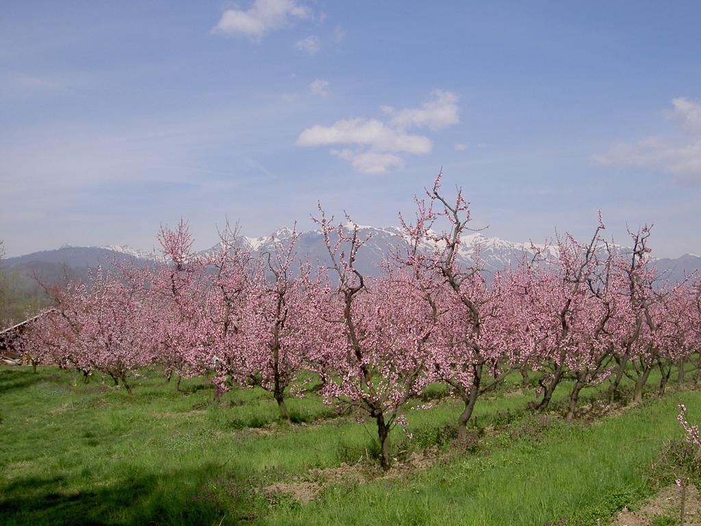 Agriturismo Il Frutto Permesso Bibiana 외부 사진