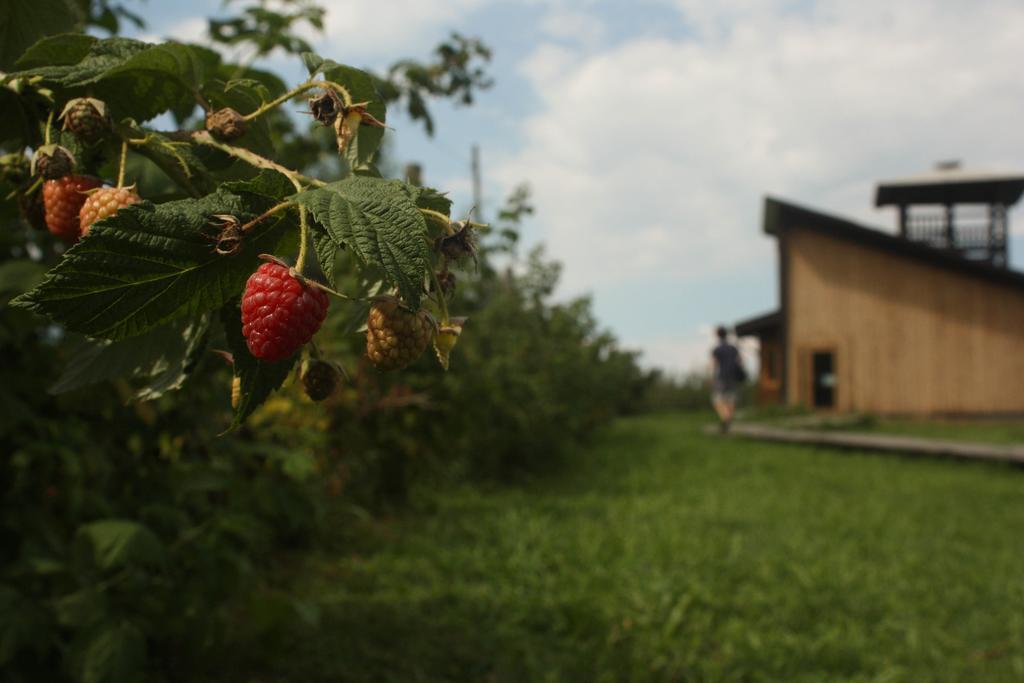 Agriturismo Il Frutto Permesso Bibiana 외부 사진