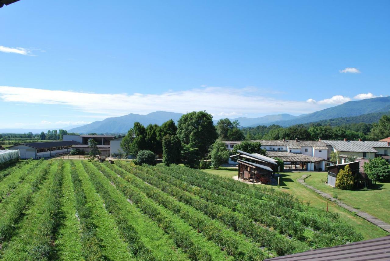 Agriturismo Il Frutto Permesso Bibiana 외부 사진